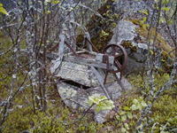 Skottk�rra 